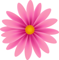 Beautiful Petal Flower png