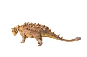 Ankylosaurus , dinosauro su isolato sfondo png