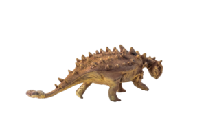 Ankylosaurus , dinosauro su isolato sfondo png