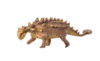 Ankylosaurus , dinosaur on  isolated background png
