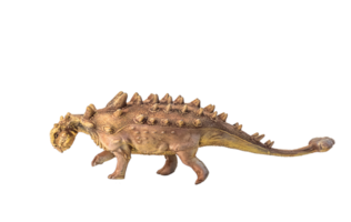 ankylosaurus , dinosaure sur isolé Contexte png