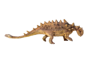 Ankylosaurus , dinosauro su isolato sfondo png