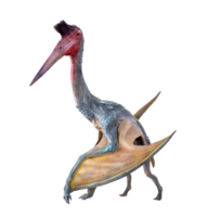 de pterosaur , dinosaurie på isolerat bakgrund png