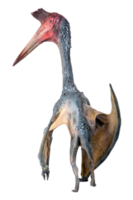 le ptérosaure , dinosaure sur isolé Contexte png