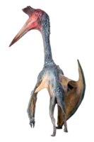 The Pterosaur , dinosaur on  isolated background png