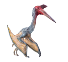 de pterosauriër , dinosaurus Aan geïsoleerd achtergrond png