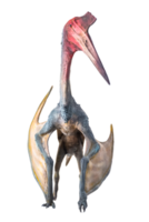 de pterosauriër , dinosaurus Aan geïsoleerd achtergrond png