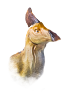 The head of  Olorotitan , dinosaur on  isolated background  . png