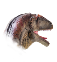 The head of Carcharodontosaurus , dinosaur on  isolated background  . png