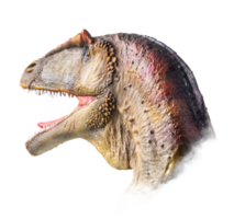 das Kopf von Carcharodontosaurus , Dinosaurier auf isoliert Hintergrund . png