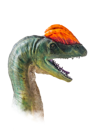 The head of  Dilophosaurus , dinosaur on  isolated background  . png