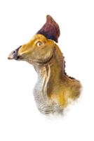 le tête de olorotitan , dinosaure sur isolé Contexte . png