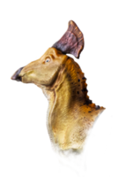 The head of  Olorotitan , dinosaur on  isolated background  . png