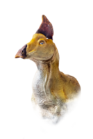 a cabeça do olorotitano , dinossauro em isolado fundo . png