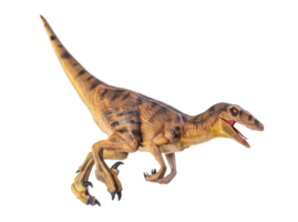 dinosaurus , velociraptor geïsoleerd achtergrond png