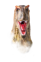 The head of Carcharodontosaurus , dinosaur on  isolated background  . png