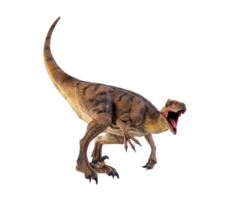 Dinosaurier , Velociraptor isoliert Hintergrund png