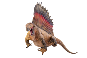 dinosaurus , dimetrodon geïsoleerd achtergrond png