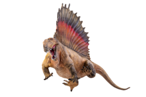 dinosaurie , dimetrodon isolerat bakgrund png