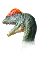 The head of  Dilophosaurus , dinosaur on  isolated background  . png