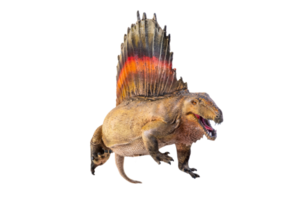 dinosaur ,  Dimetrodon   isolated background png