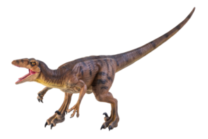 dinosaurie , velociraptor isolerat bakgrund png