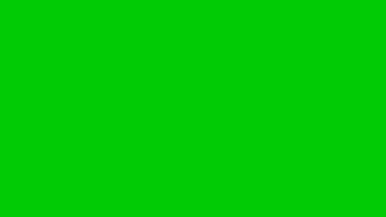 Animated videos for green screen businesses