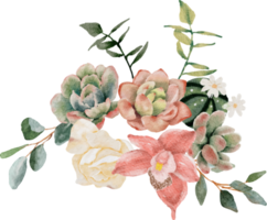 acquerello succulento e fiore mazzo ghirlanda telaio png