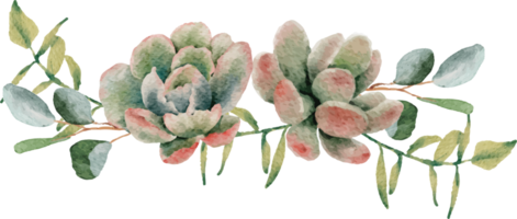 acquerello succulento e fiore mazzo ghirlanda telaio png