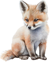 Fox Watercolor Illustration png