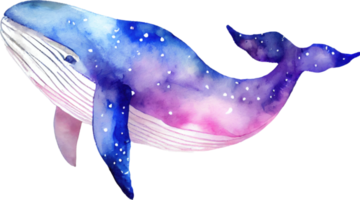 Whale Watercolor Illustration png