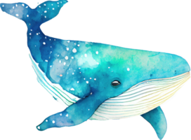 Whale Watercolor Illustration png