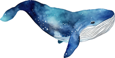 ballena acuarela ilustración png