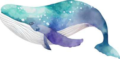 baleia aguarela ilustração png