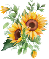 Sunflower Watercolor Illustration png