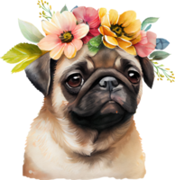 söt mops hund blommor vattenfärg illustration png