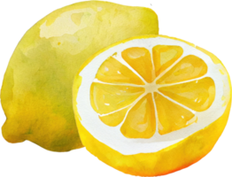 ilustración de acuarela de fruta de limón png