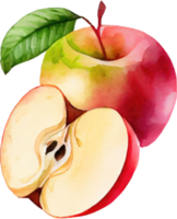 Sliced Red Apple Watercolor png