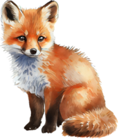 Fox Watercolor Illustration png