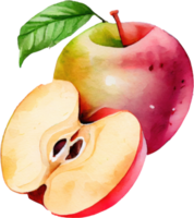 geschnitten rot Apfel Aquarell png