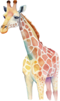 girafa aguarela ilustração png