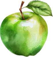 grön äpple vattenfärg illustration png