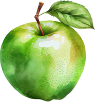 vert Pomme aquarelle illustration png