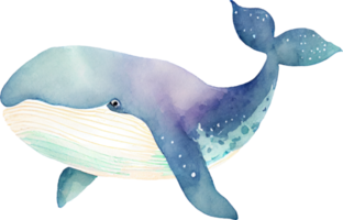 Whale Watercolor Illustration png