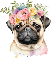 söt mops hund blommor vattenfärg illustration png