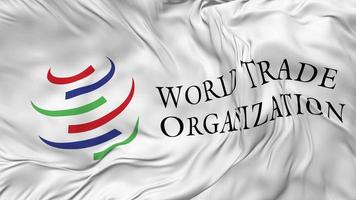 mondo commercio organizzazione bandiera, wto bandiera senza soluzione di continuità looping sfondo, loop urto struttura stoffa agitando lento movimento, 3d interpretazione video