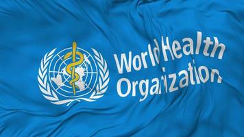 World Health Organization Flag, WHO Flag Seamless Looping Background, Looped Bump Texture Cloth Waving Slow Motion, 3D Rendering video