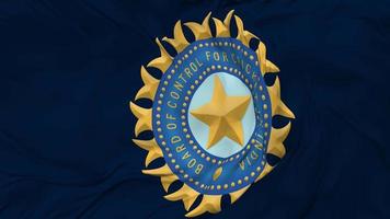 The Board of Control for Cricket in India, BCCI Flag Seamless Looping Background, Looped Bump Texture Cloth Waving Slow Motion, 3D Rendering video