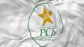 Pakistan cricket asse, pcb bandiera senza soluzione di continuità looping sfondo, loop urto struttura stoffa agitando lento movimento, 3d interpretazione video