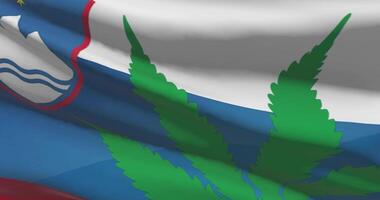 Slovenia national flag with cannabis leaf. Legal status of medical marijuana in country. Government and THC. Social issue, politics, criminal and law news about weed video